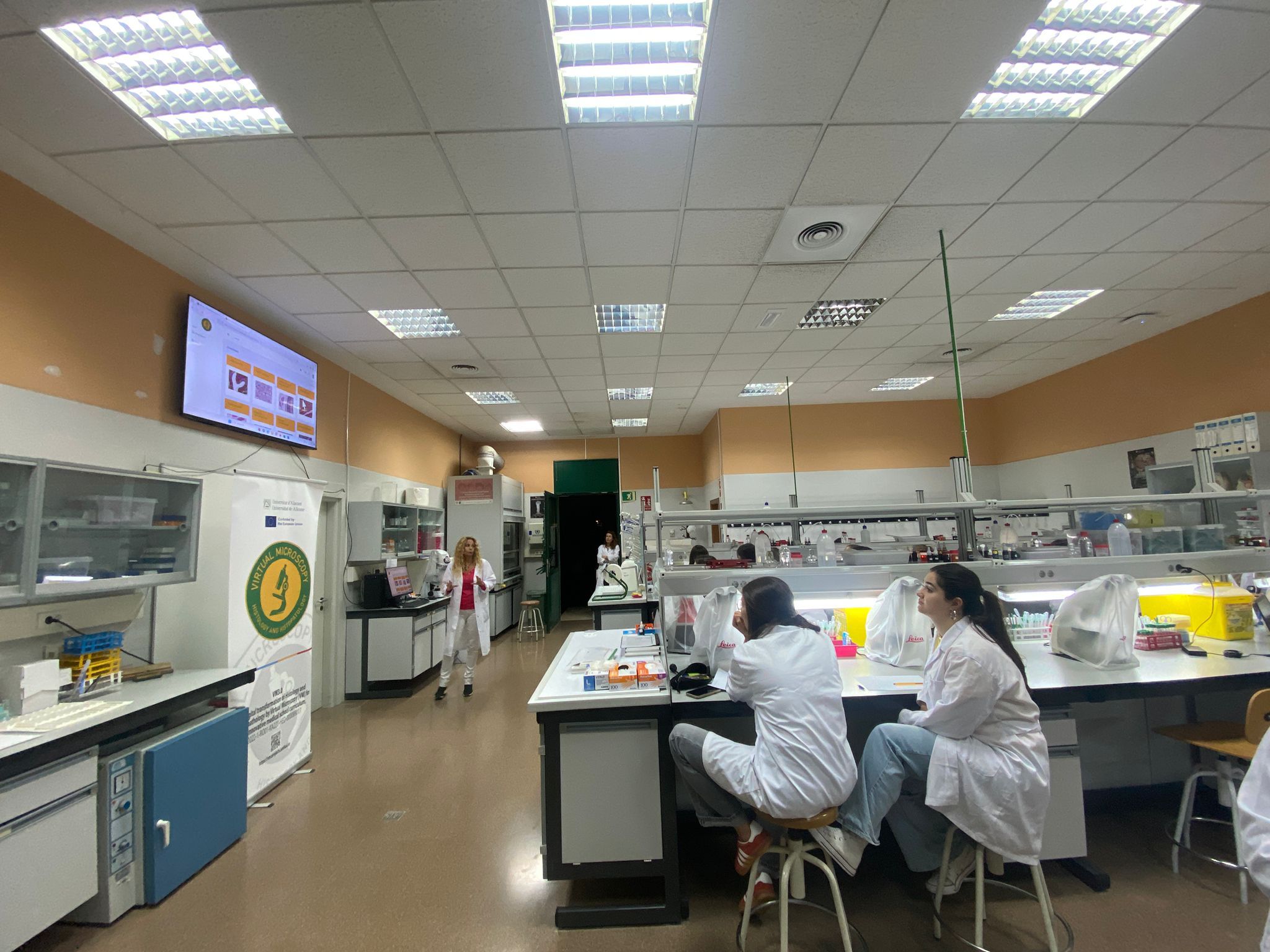 SPAIN: 8 Piloting sessions were held between 4-8.11.2024 by the Biotechnology Department of the University of Alicante with 125 students. 