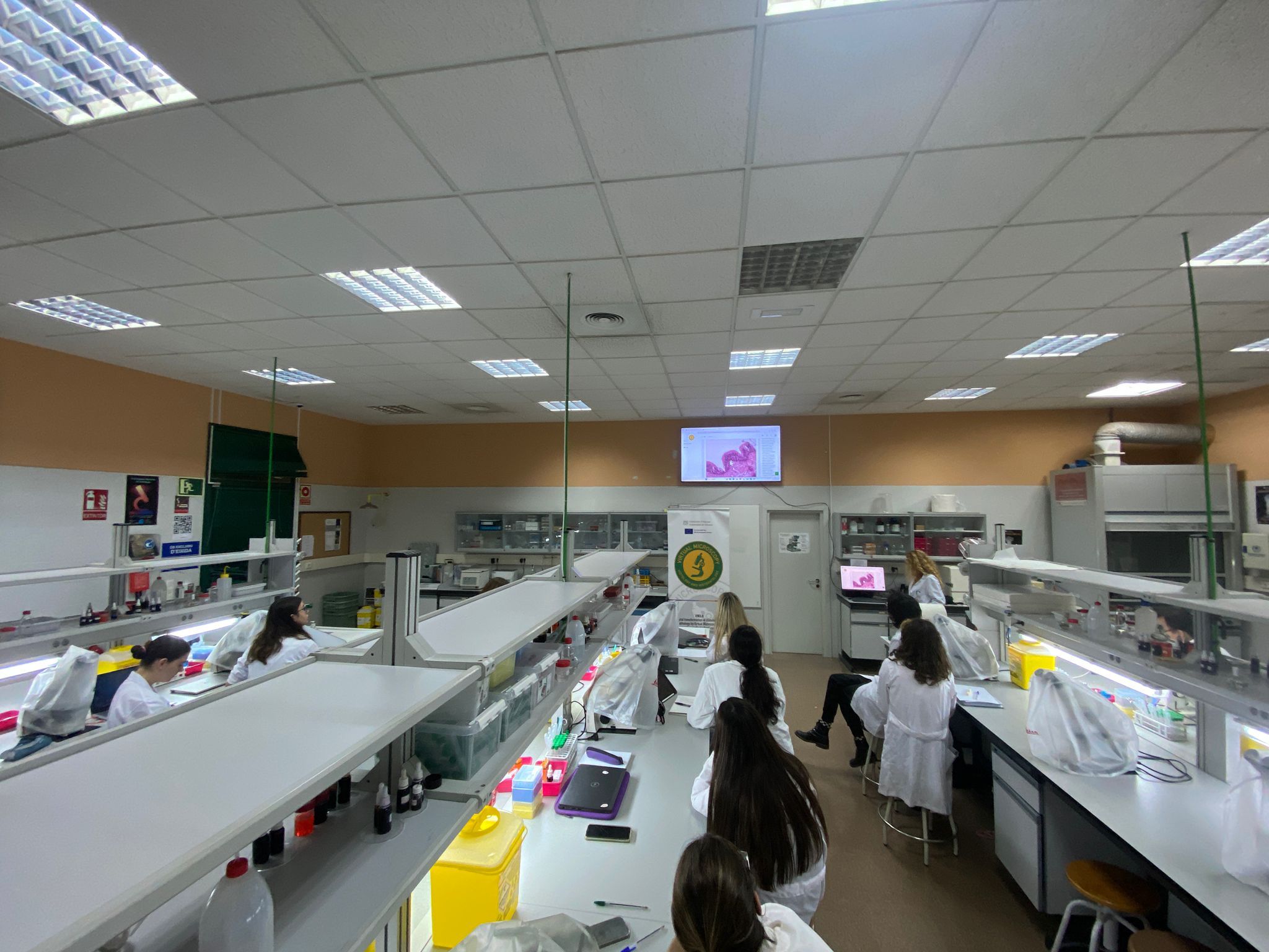 SPAIN: 8 Piloting sessions were held between 4-8.11.2024 by the Biotechnology Department of the University of Alicante with 125 students. 