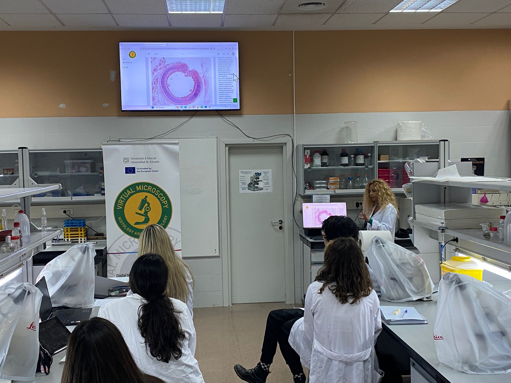 SPAIN: 8 Piloting sessions were held between 4-8.11.2024 by the Biotechnology Department of the University of Alicante with 125 students. 